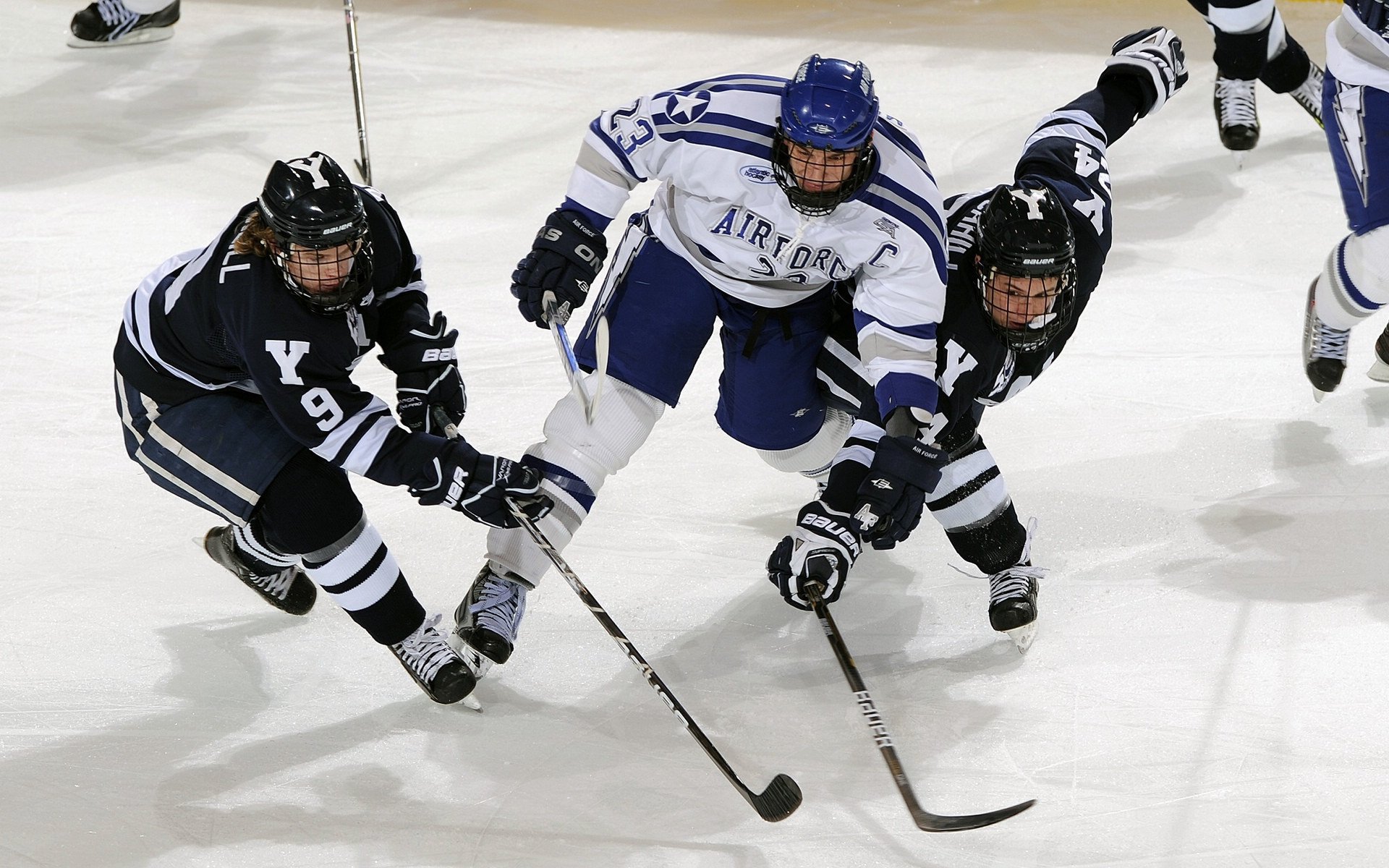 粉丝最爱：本赛季最精彩瞬间投票揭晓，粉丝投票排名榜